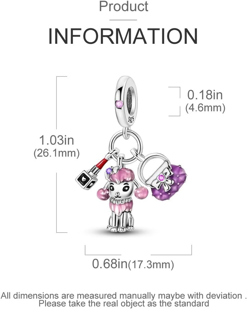 Hapour Store 925 Sterling Silver Charms for Bracelets Necklace European Jewelry Pendant Beads Charm for Women Mom - Image 4